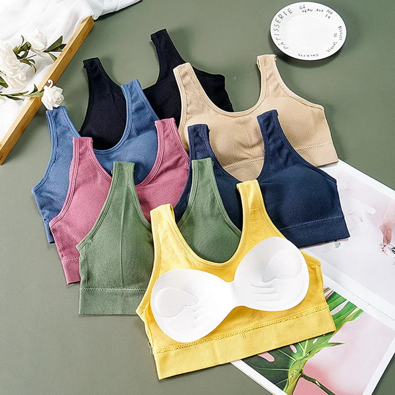 Brassière sans couture